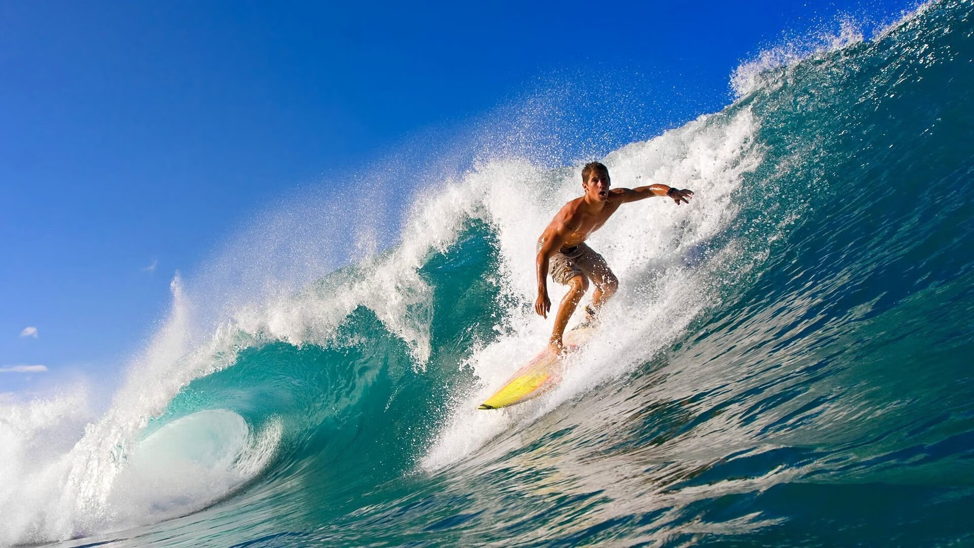 青岛队轻取篮网，张镇麟状态火热成关键先生